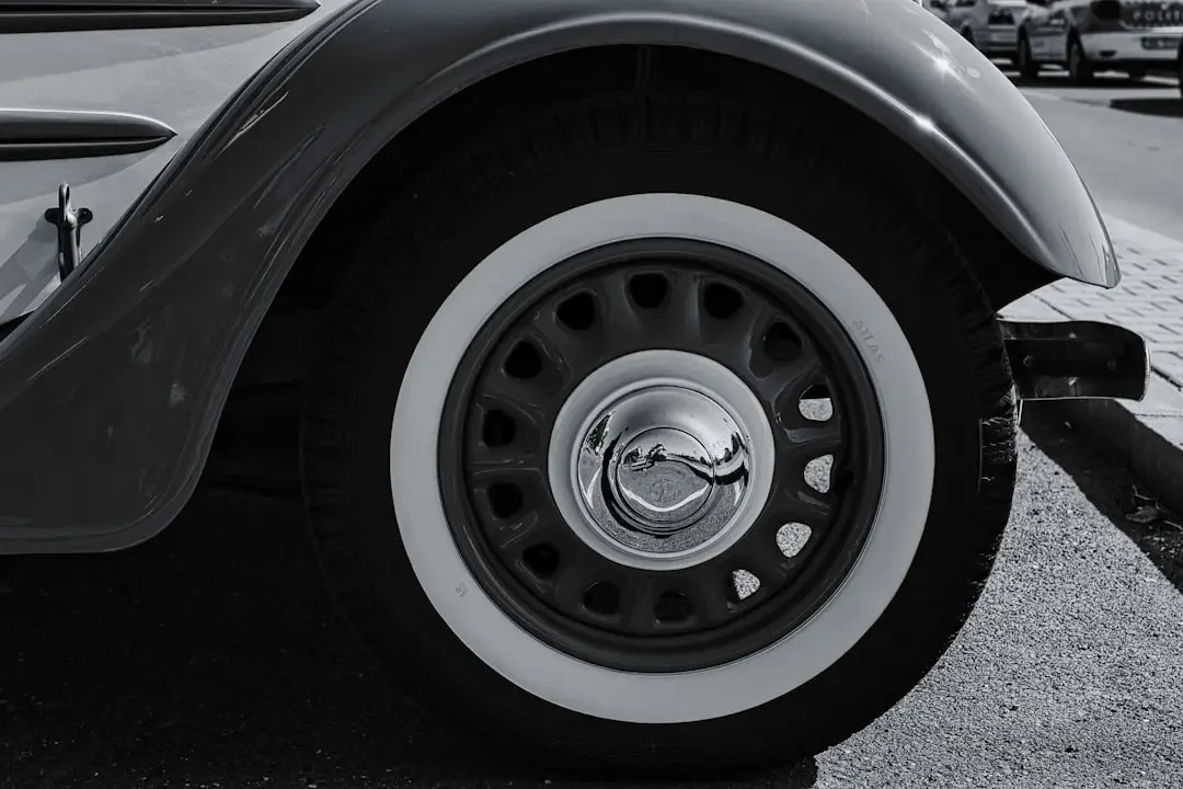 Post-hivernage : 5 points cruciaux pour votre ancienne - illustration 2