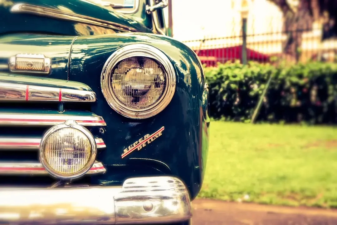 Post-hivernage : 5 points cruciaux pour votre ancienne